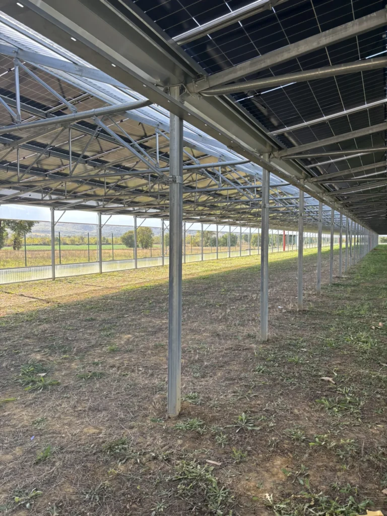 AGRISOLARE SERRA FOTOVOLTAICA – 500kWp – Lucignano – AR