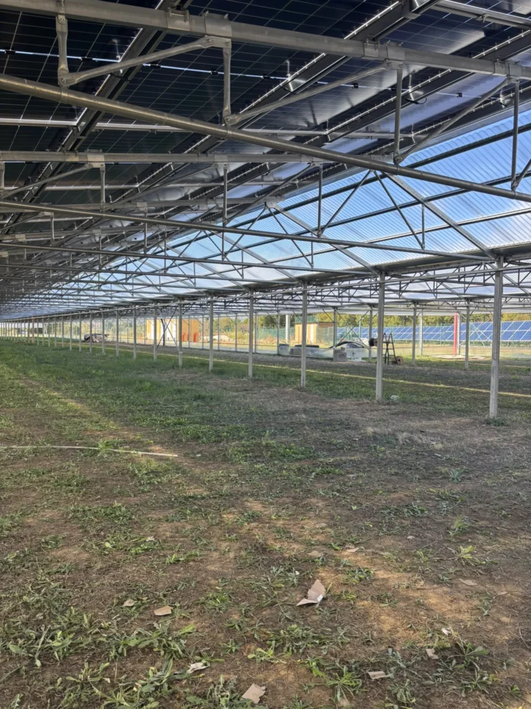 AGRISOLARE SERRA FOTOVOLTAICA – 500kWp – Lucignano – AR
