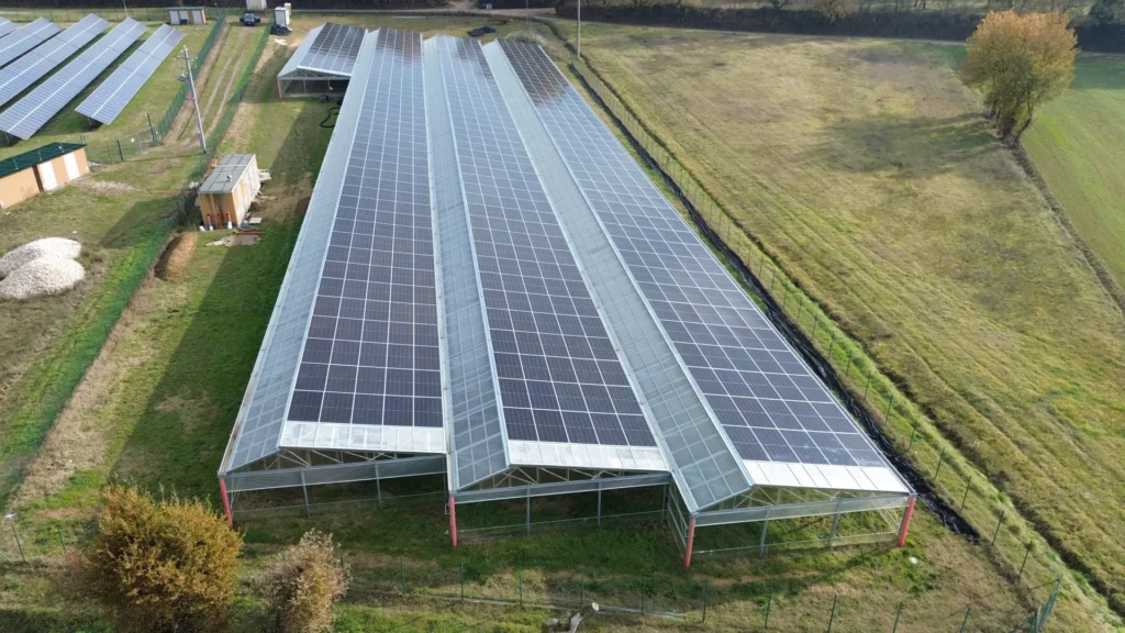 AGRISOLARE SERRA FOTOVOLTAICA – 500kWp – Lucignano – AR