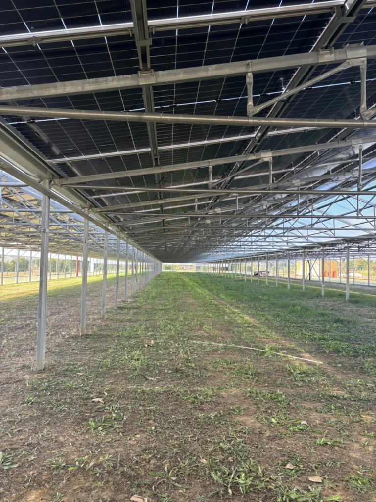 AGRISOLARE SERRA FOTOVOLTAICA – 500kWp – Lucignano – AR